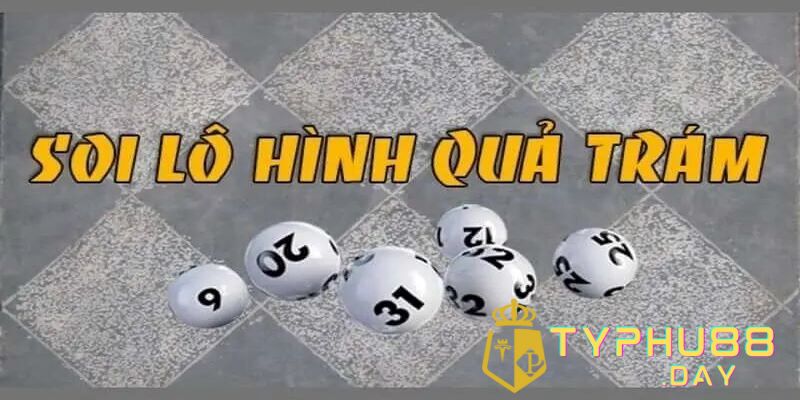 Phương Pháp Soi Cầu Lô Hình Quả Trám Thắng Ngay Hôm Nay 3 Gợi ý cách soi cầu lô hình quả trám hiệu quả từ chuyên gia