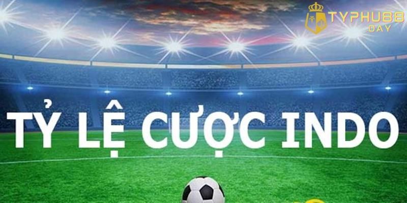 Tỷ Lệ Kèo Indonesia Là Gì Dễ Hiểu Cho Người Chơi Cá Cược 2 Đặc điểm nhận diện tỷ lệ kèo Indonesia là gì
