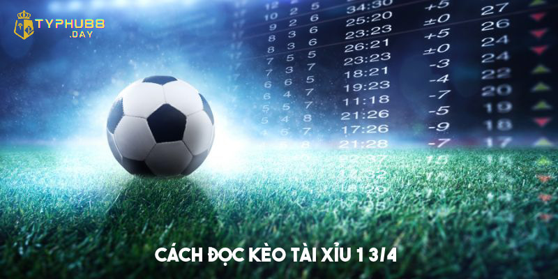 Tài Xỉu 1 3/4 Nghĩa Là Sao - Cách Đọc Và Kinh Nghiệm Đặt Cược 2 Cách đọc và tính tiền tài xỉu 1 3/4 nghĩa là sao